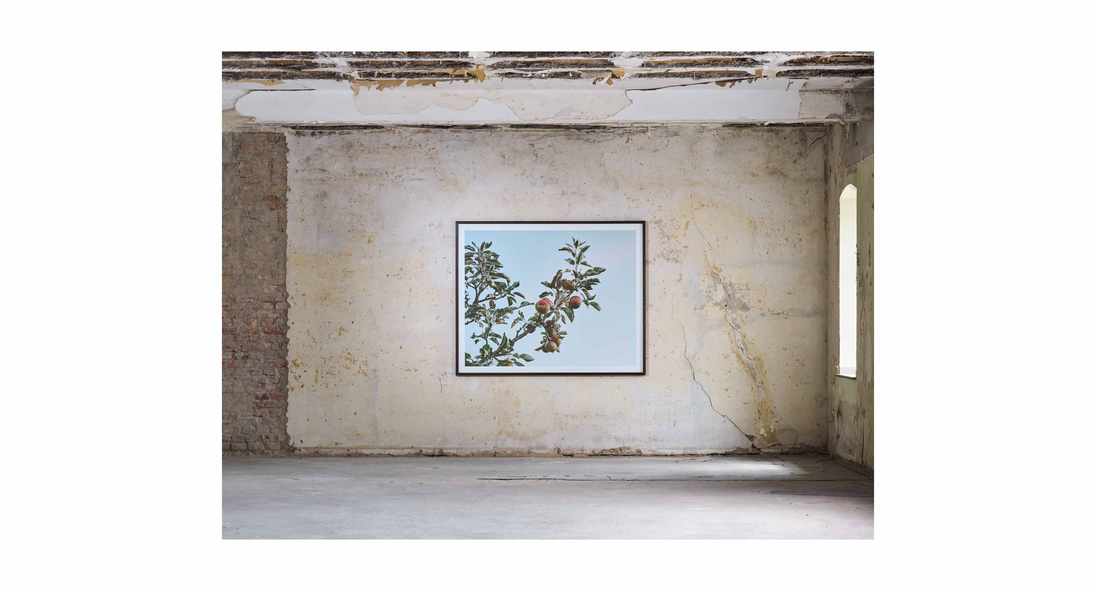 Art Documentation Kunst Dokumentation Düsseldorf Kai Werner Schmidt Fotografie Photography Installation